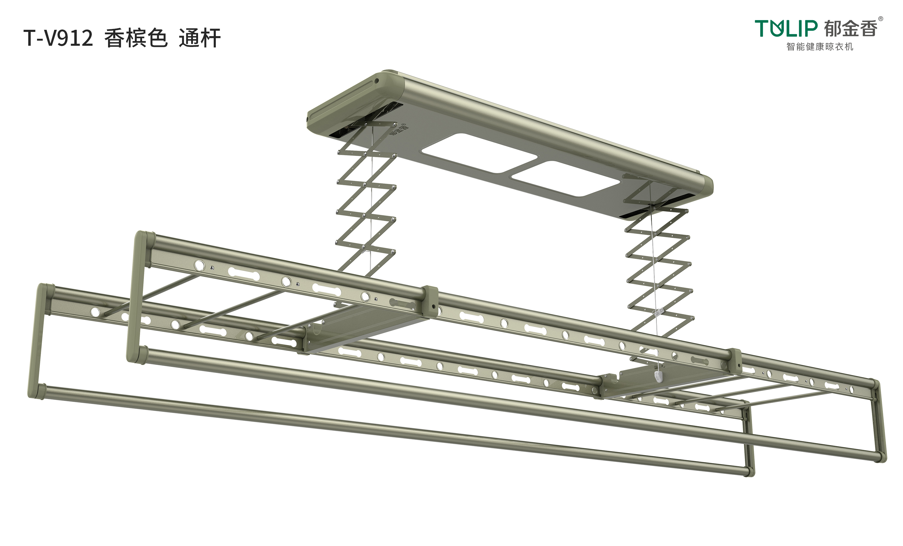 T-V912 香槟色
