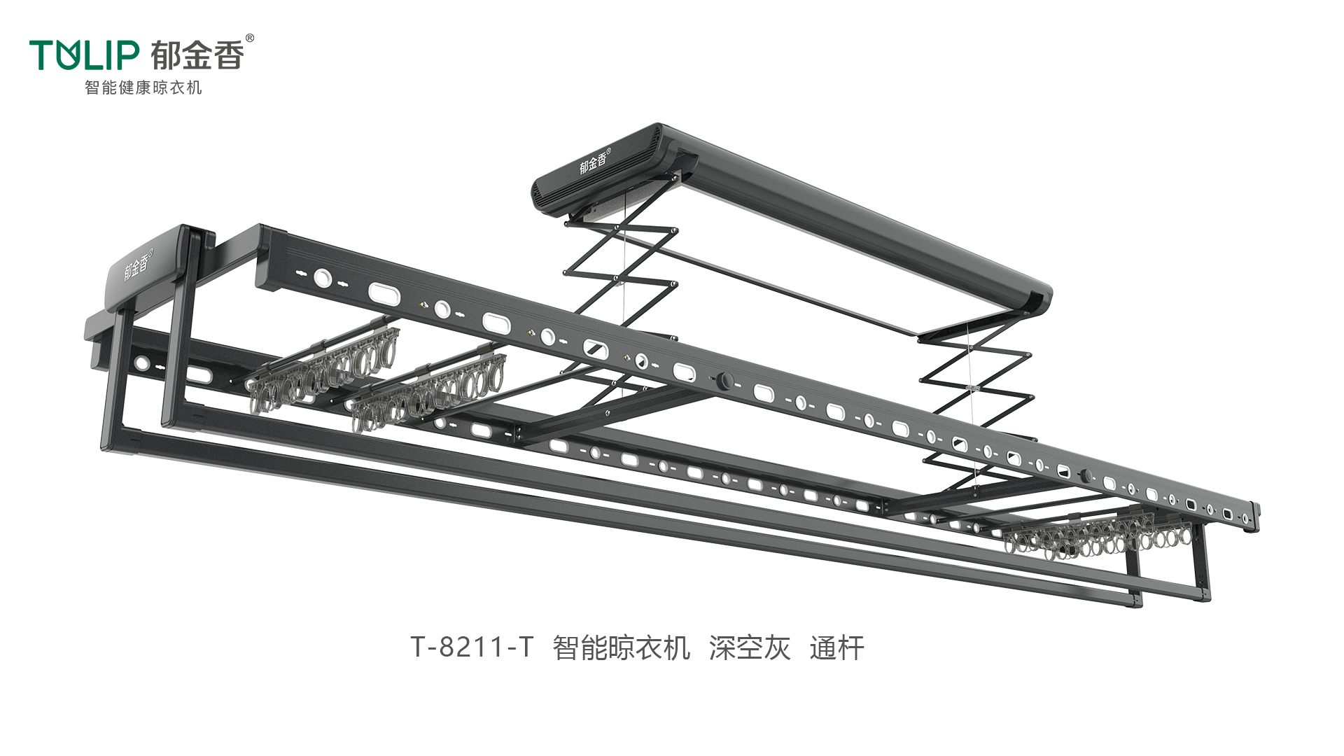 郁金香T8211大板超薄